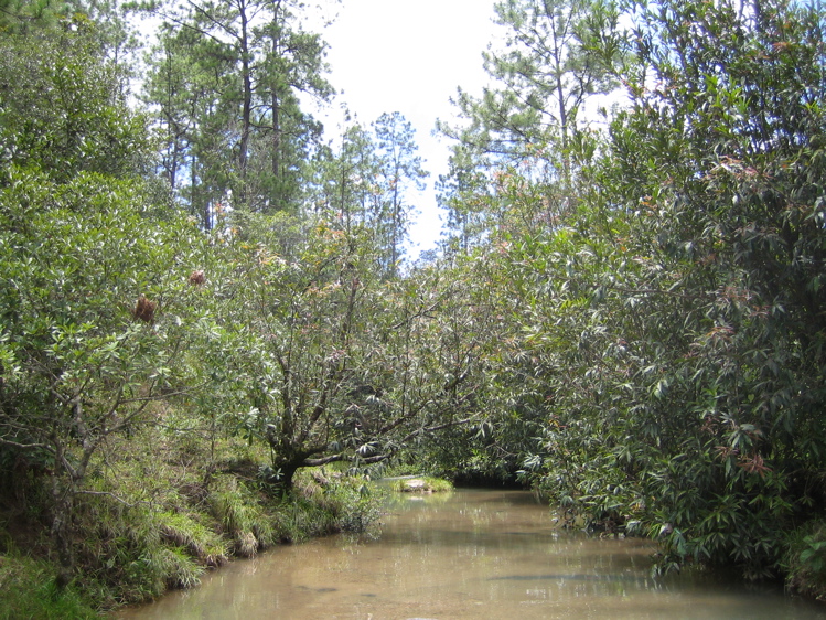 Quebrada de Perquin