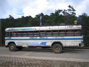 Rúta
