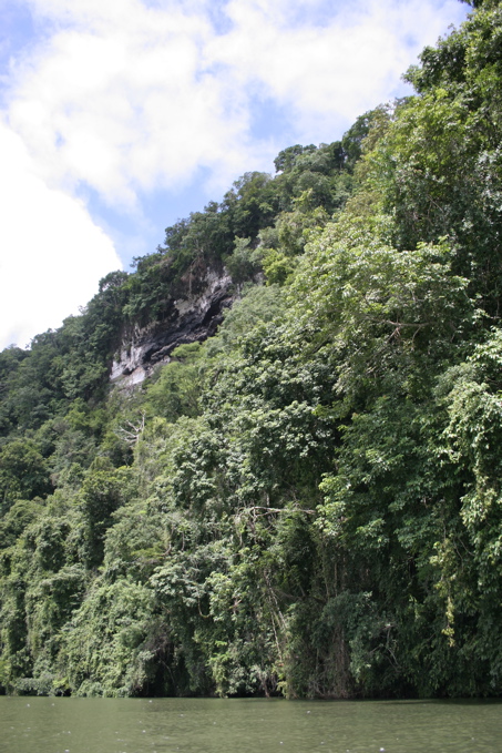 Bakkar Rio Dulce árinnar