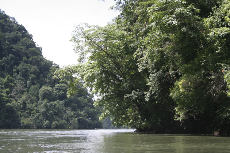 Rio Dulce
