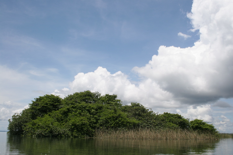 Eyja á Lago Izabal