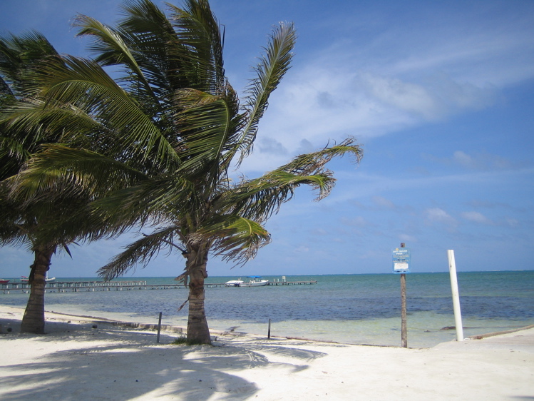 Ströndin á Caye Caulker