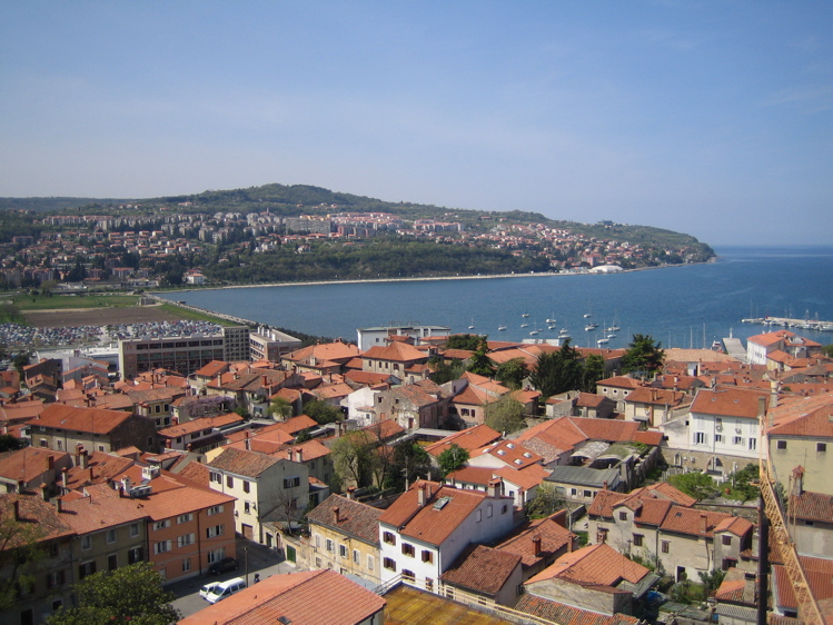 Koper