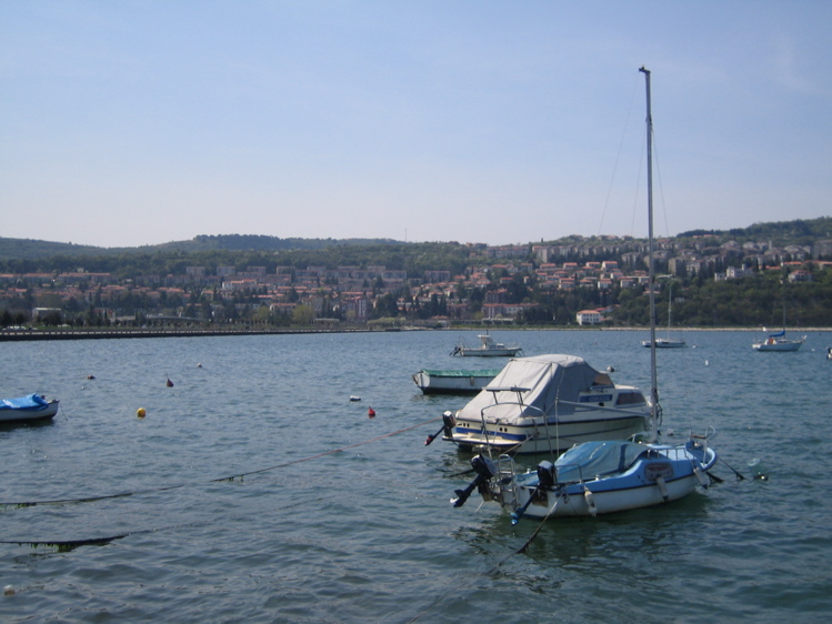 Bátar