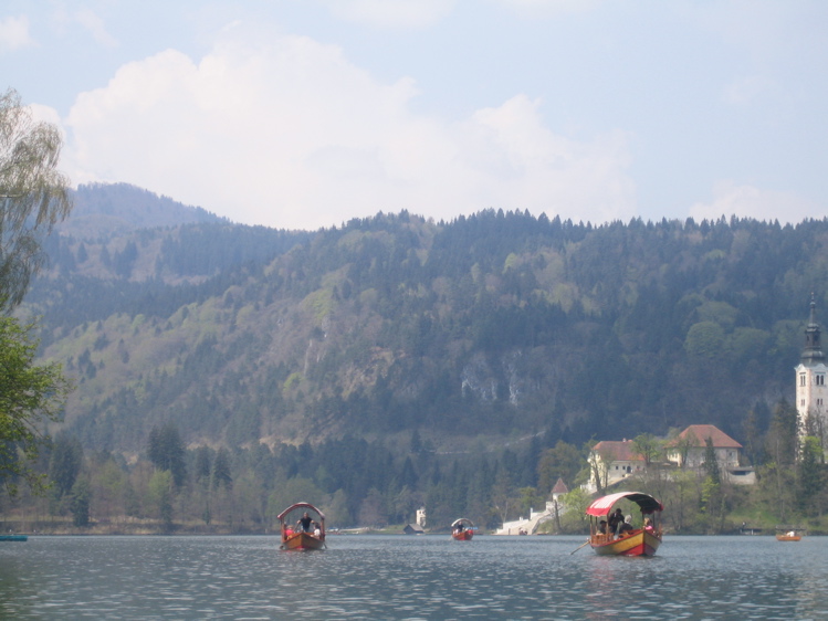 IMG_0743.JPG