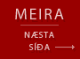 Næsta síða