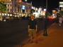 Dan á Las Vegas Strip