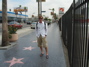 Hollywood Walk of Fame